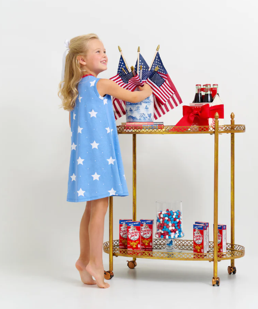 Sleeveless Polly Play Dress | North Sea Stars w/Richmond Red