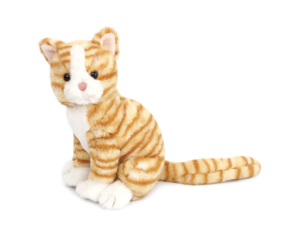 Chichi Kitty
