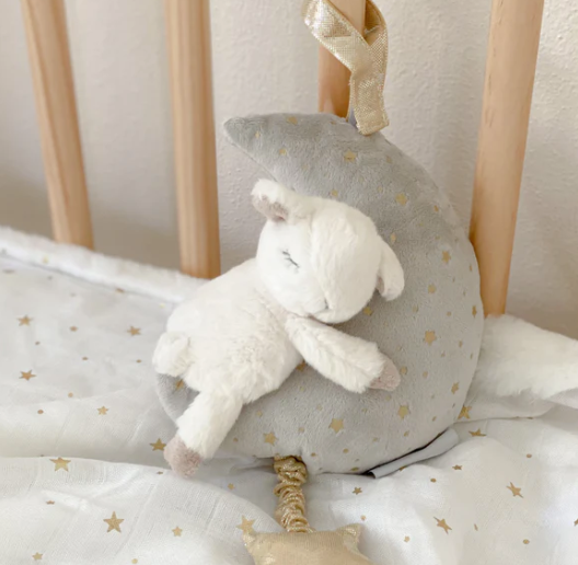Lamb &amp; Moon Music Mobile