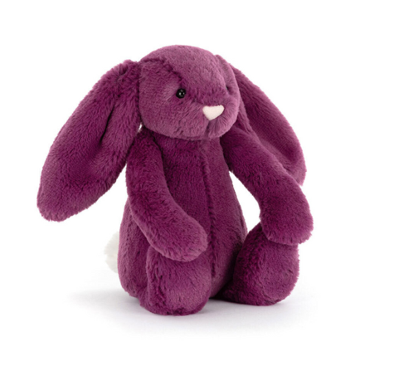 Bashful Allium Bunny