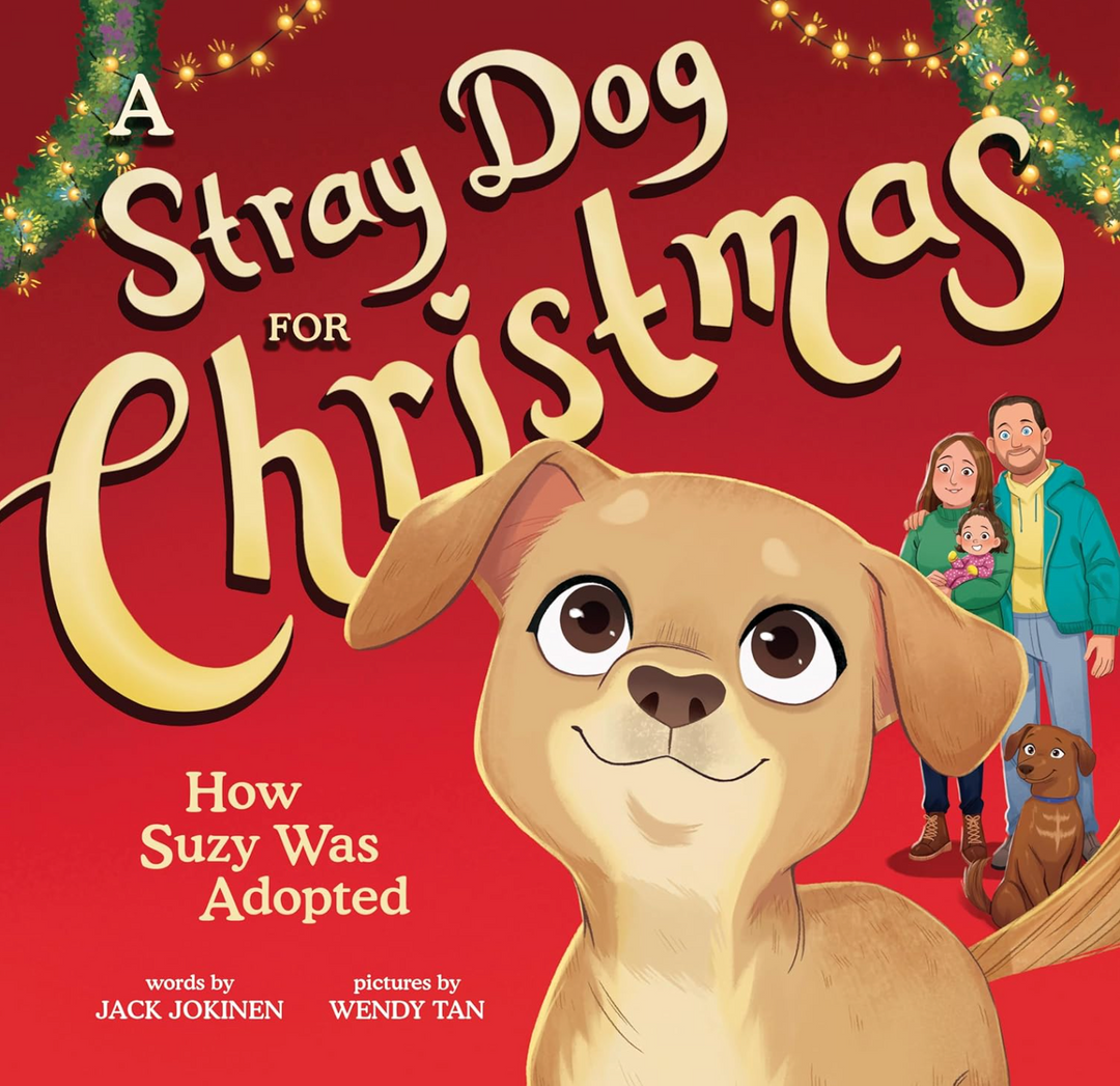 A Stray Dog For Christmas: How Suzy Was Adopted