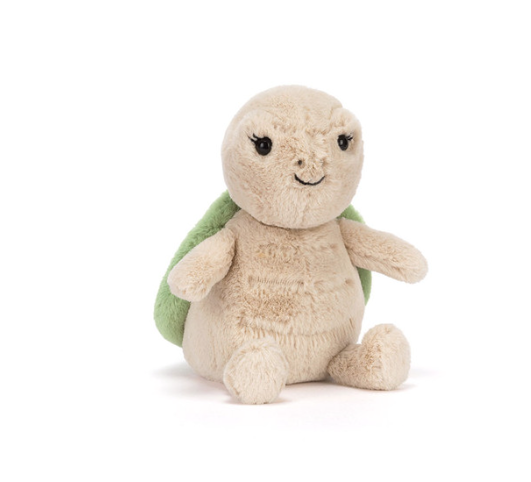 Thimble Turtle