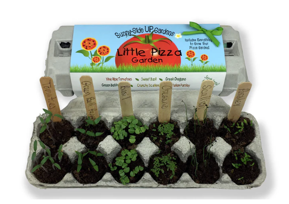 Little Pizza Garden Seed Kit