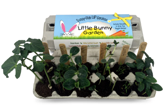 Little Bunny Garden Seed Kit