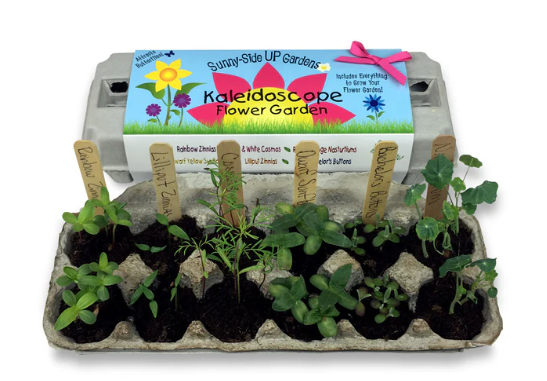 Kaleidoscope Garden Seed Kit