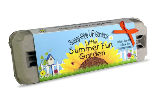 Little Summer Fun Seed Kit