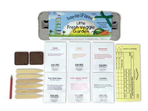 Little Fresh Veggie Garden Seed Kit