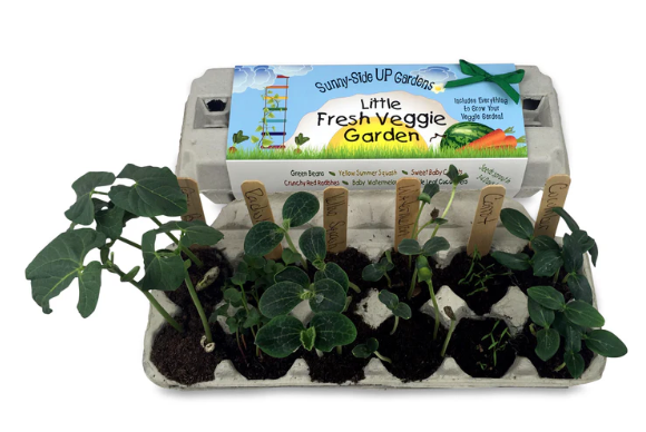 Little Fresh Veggie Garden Seed Kit