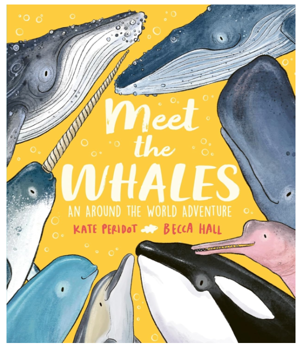 Meet the Whales