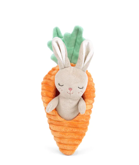 Bunny in Carrot Activity Toy