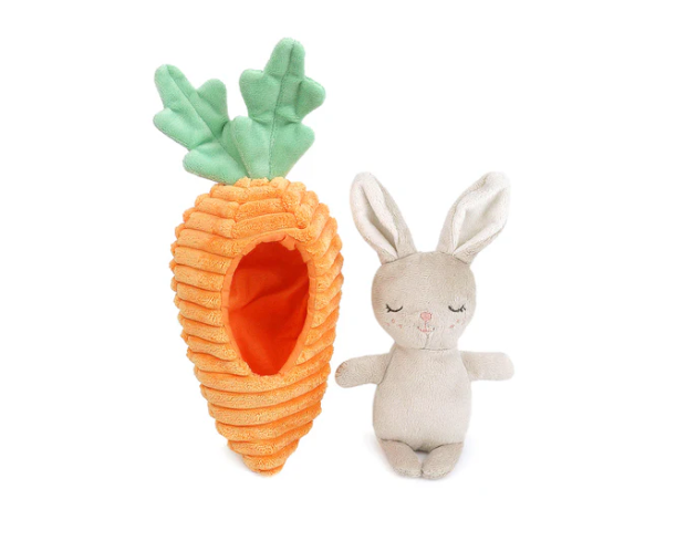 Bunny in Carrot Activity Toy