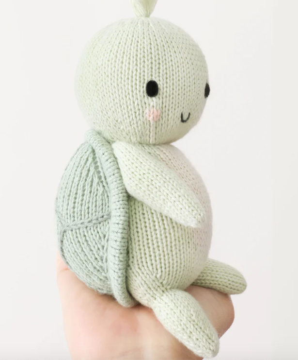 Baby Kelp Green Sea Turtle