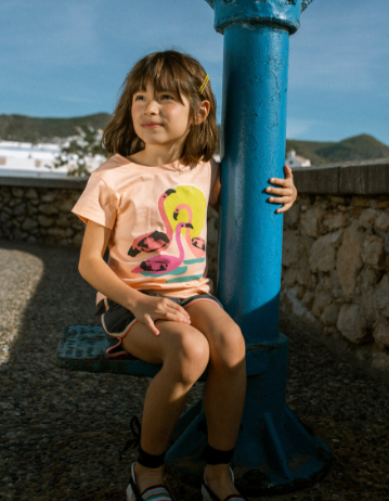 Salmon Flamingos Graphic Tee