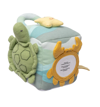 Ocean Activity Cube