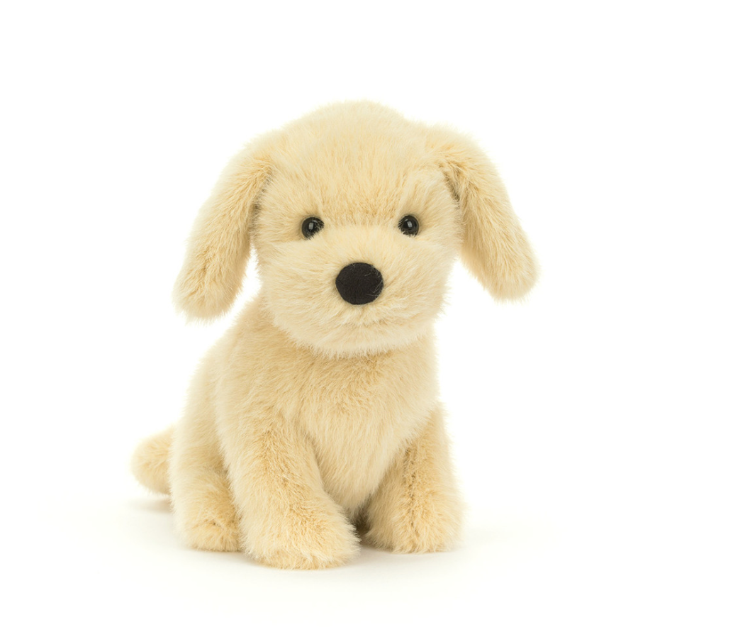 Golden Puppy
