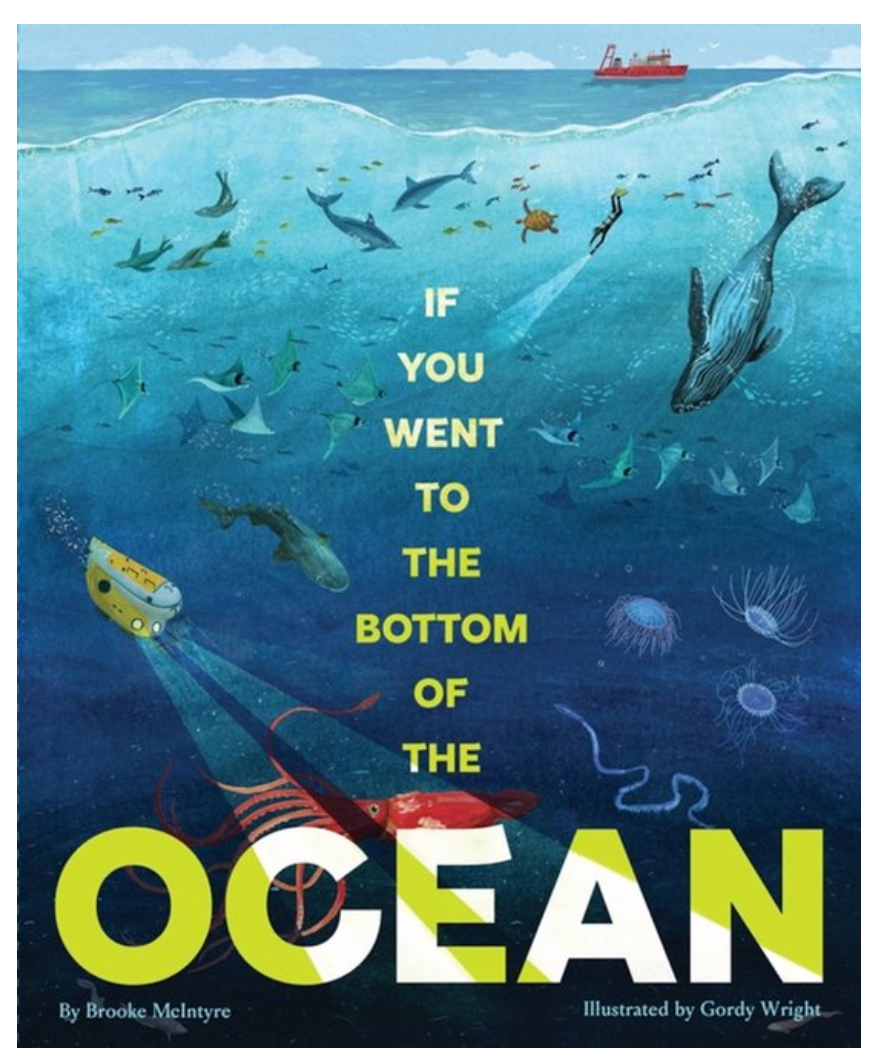 If You Went to the Bottom of the Ocean