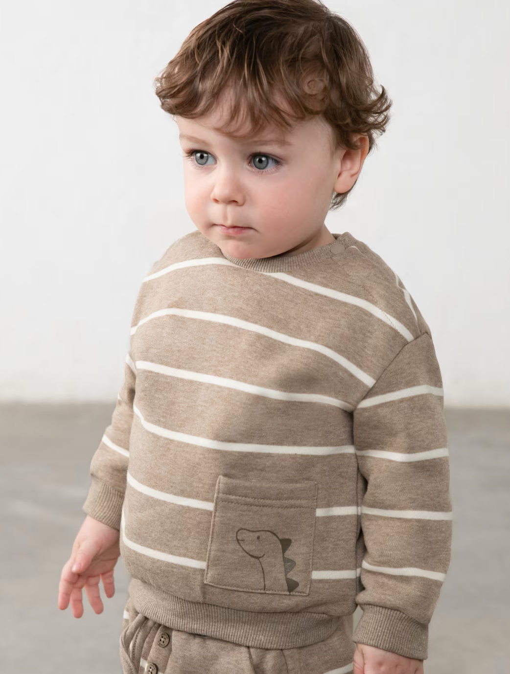 Tan Stripe Dino Sweatshirt | 2416