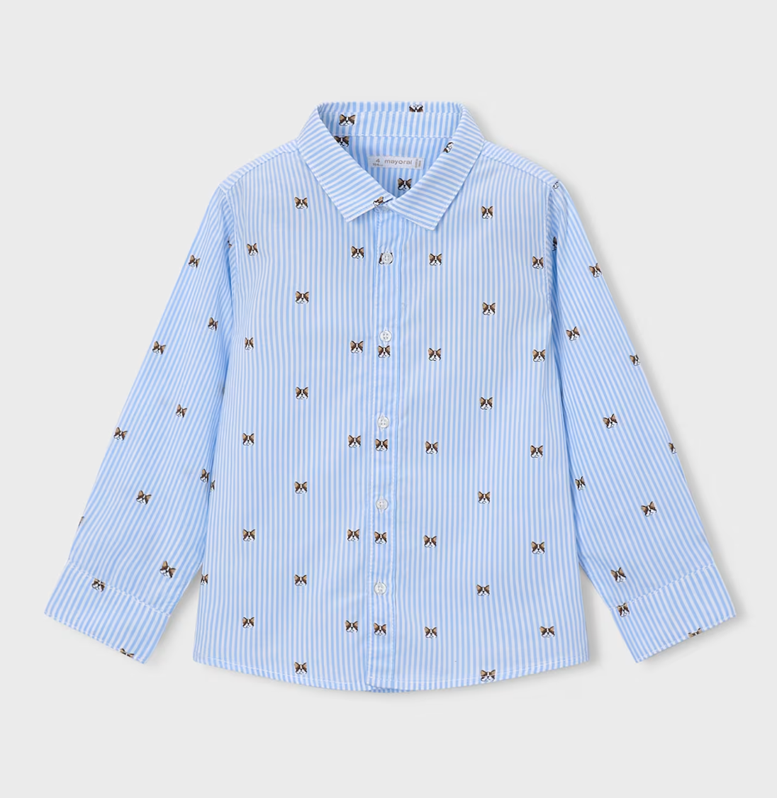 Boys Clothing (2T-6)