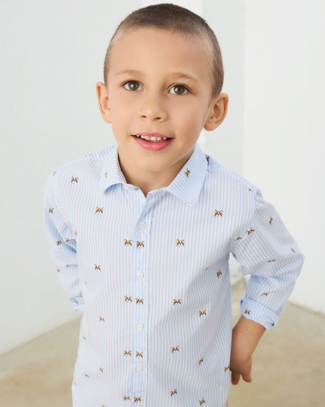Puppy Stripe Button Down Shirt | 4146