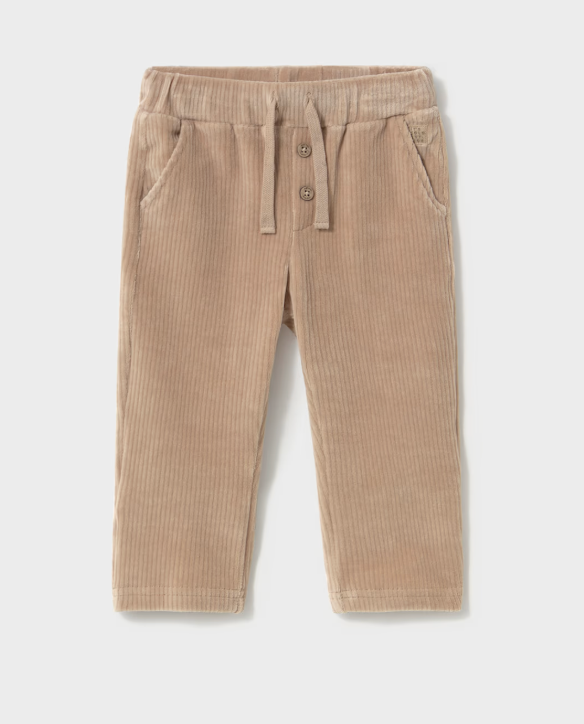 Tan Corduroy Pants | 2542
