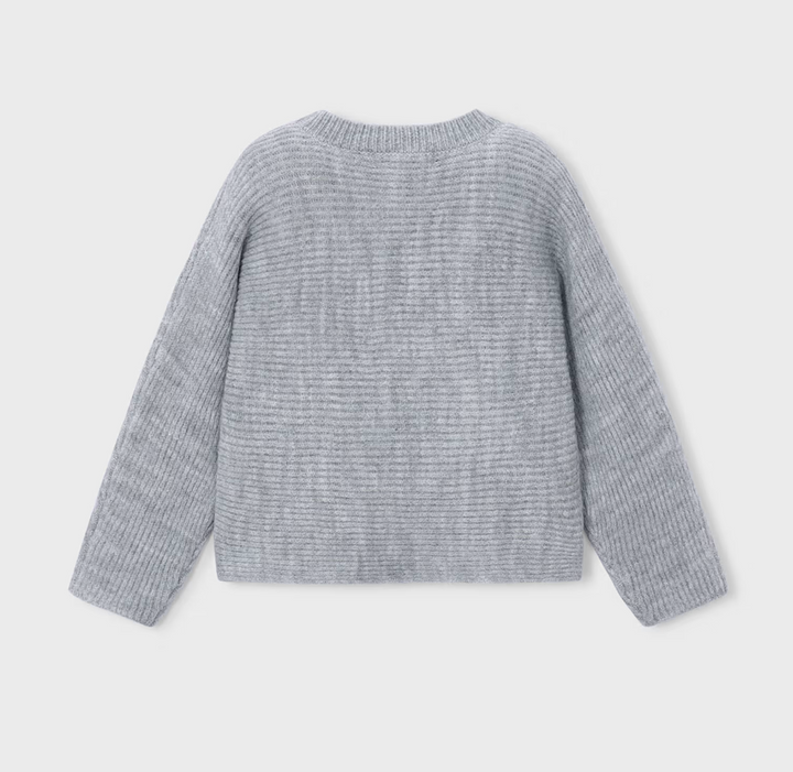 Gray Pearl Sweater | 4322