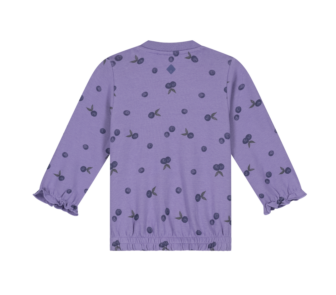 Baby Girl Print Sweatshirt | Faded Plum