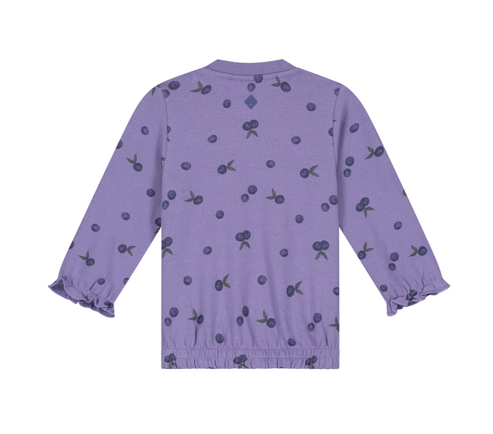 Baby Girl Print Sweatshirt | Faded Plum