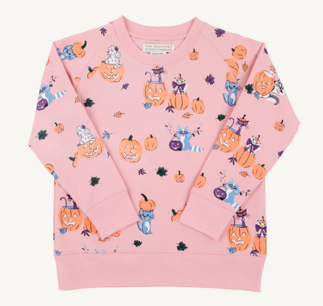 Cassidy Comfy Crewneck French Terry | Candy and Critters Pink