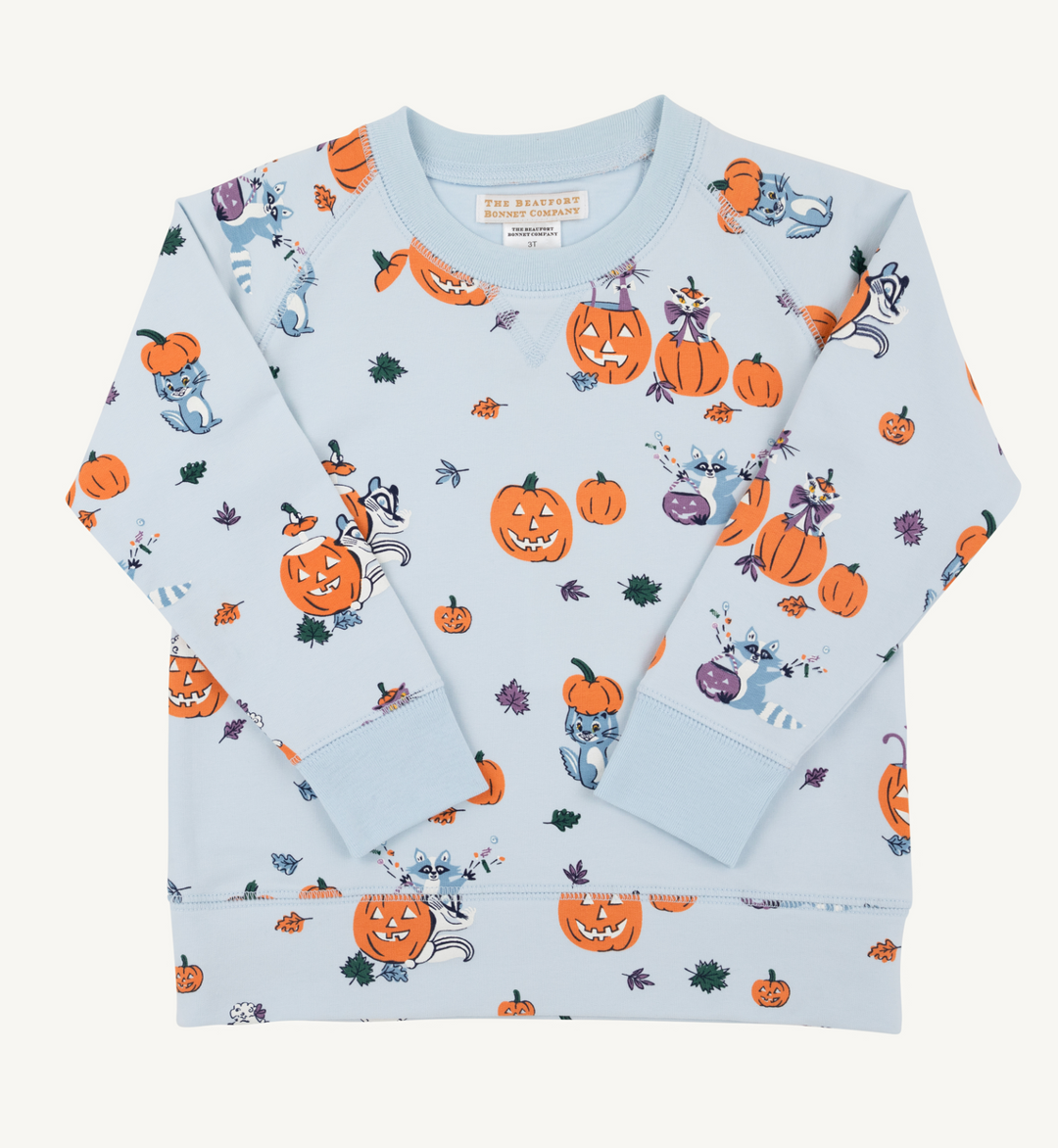 Cassidy Comfy Crewneck French Terry | Candy and Critters Blue