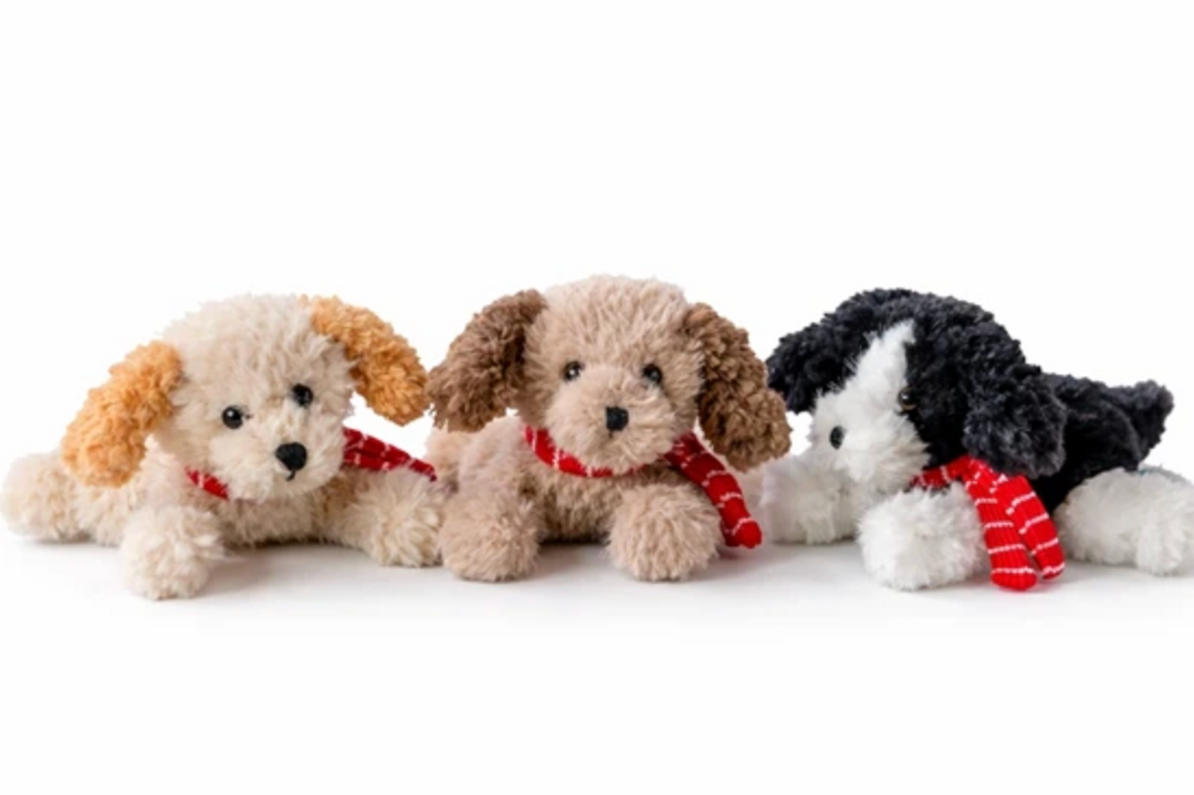 Peppermint Puppy | Carmel