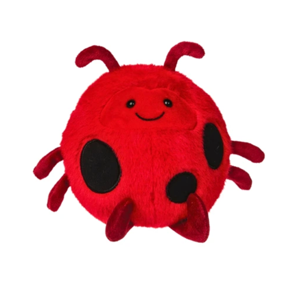 Rolly Lady Bug