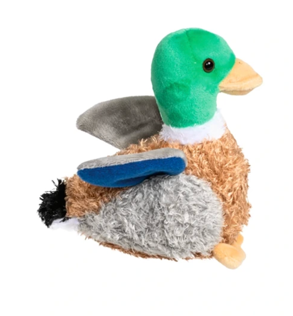 Mallard Duck w/Sound