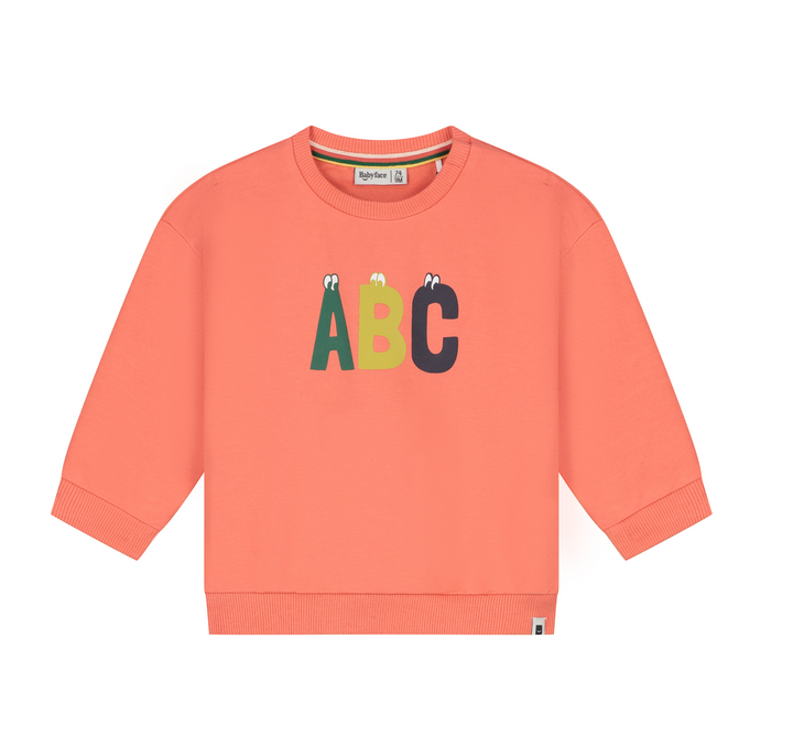 Baby Boy Sweatshirt | Orange ABC