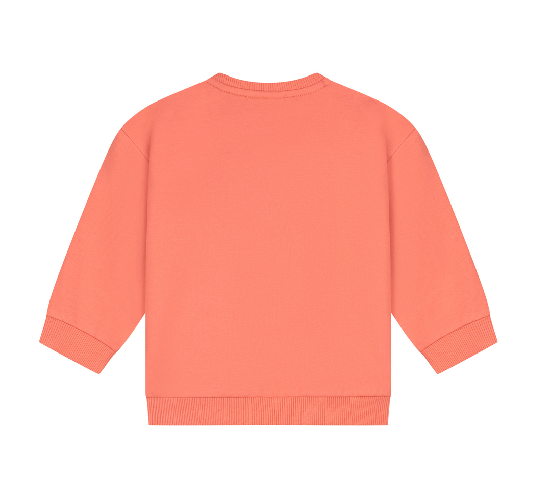Baby Boy Sweatshirt | Orange ABC