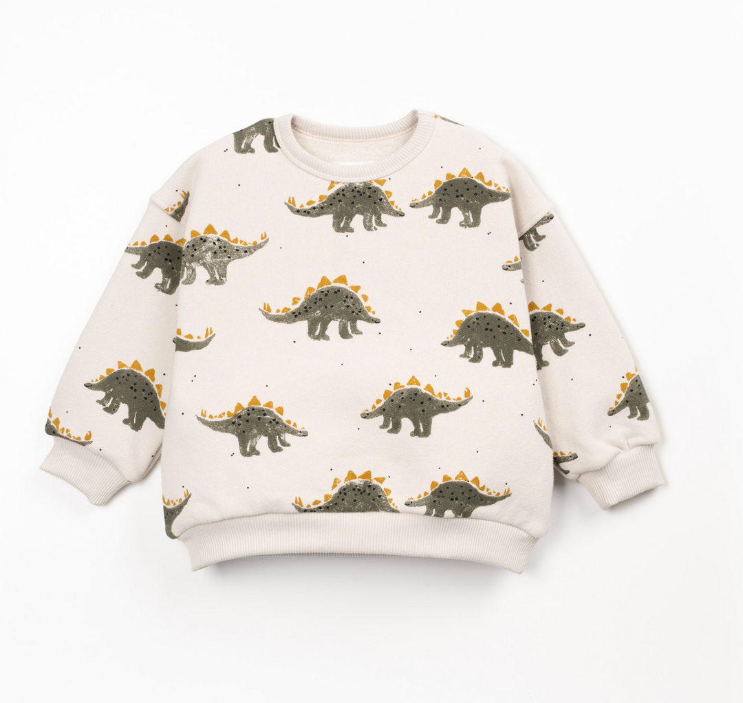 Boys Dino Fleece Sweater