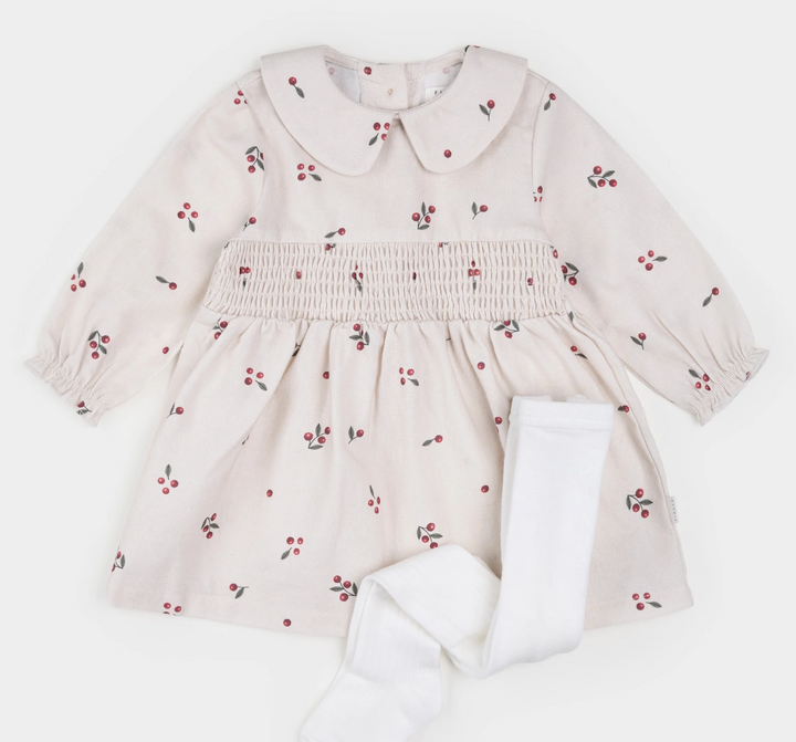 Winter Berry Flannel Dress Set