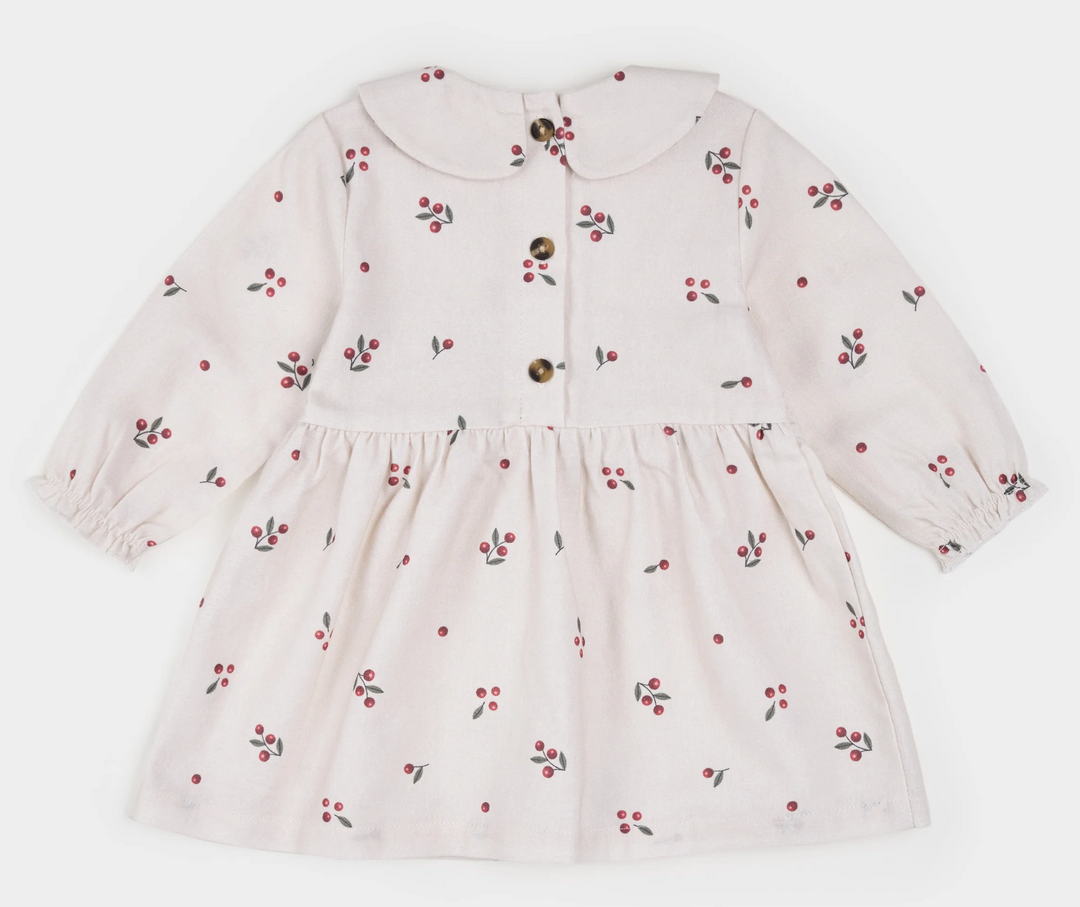 Winter Berry Flannel Dress Set