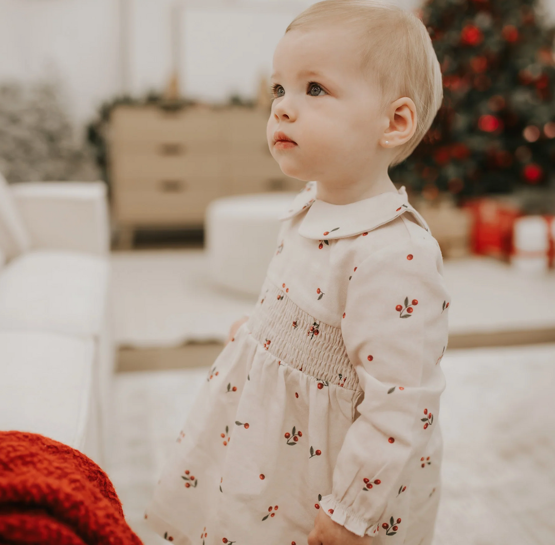 Winter Berry Flannel Dress Set