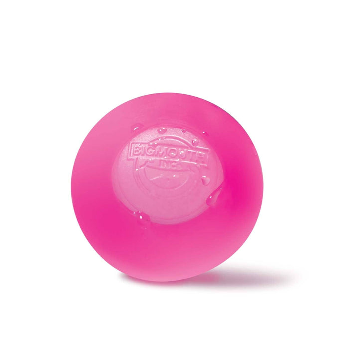 Reusable Water Balloons
