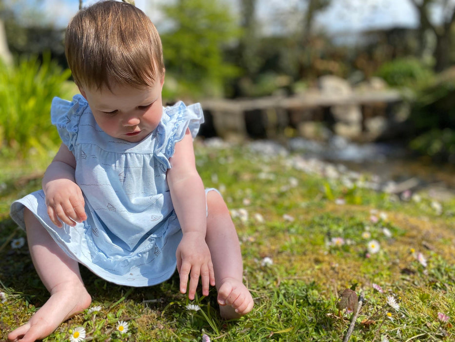 Aswen Jersey Dress | Blue Boats