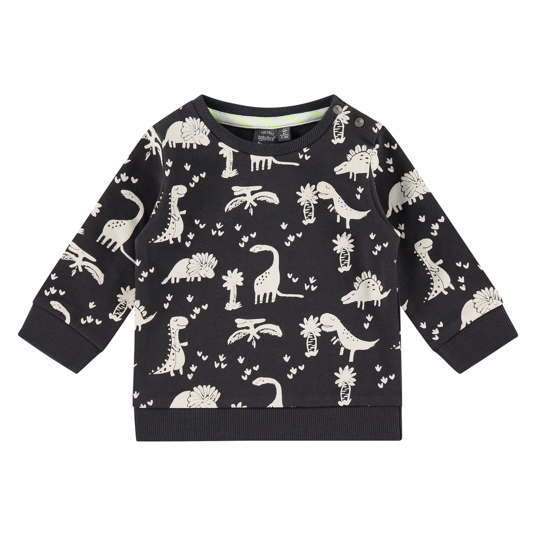 Dinosaur Sweatshirt