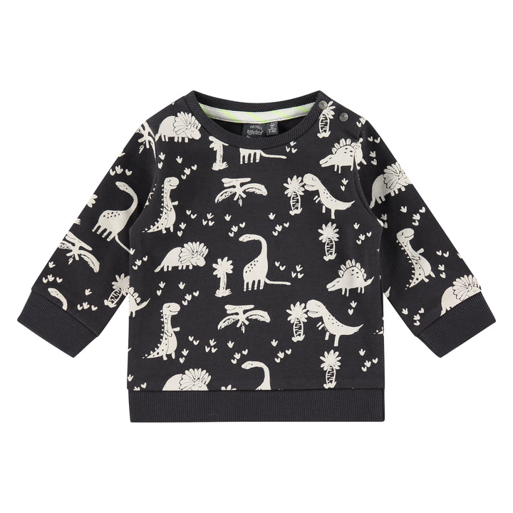Dinosaur Sweatshirt