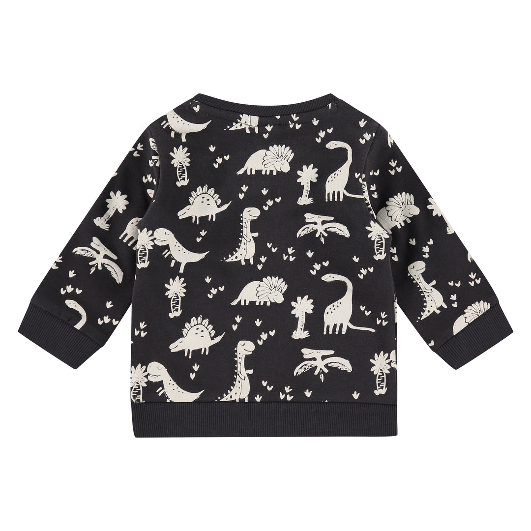 Dinosaur Sweatshirt