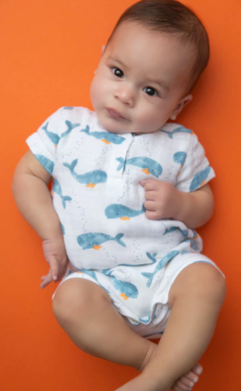 Baby Whale Henley Shortall