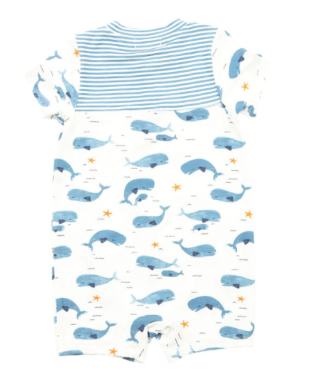 Whale Pod Henley Shortall