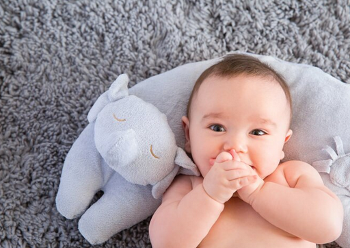 Grey Elephant Pillow