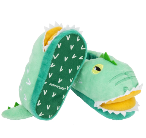 Croc Slippers