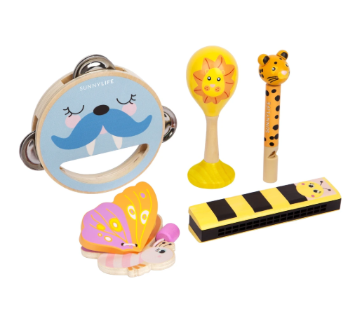 Music Band Set