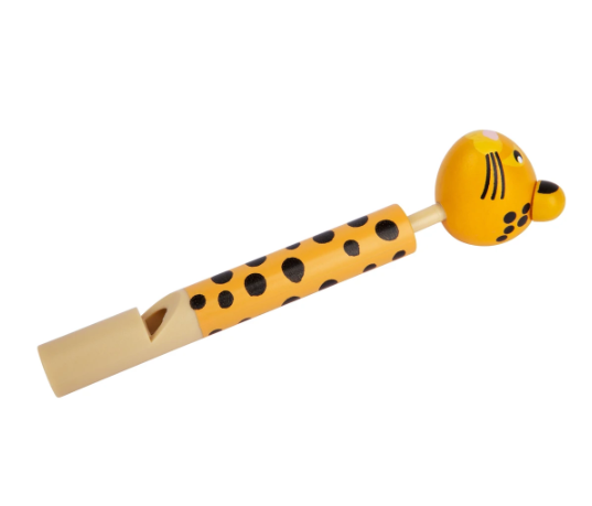 Music Band Set