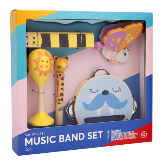 Music Band Set